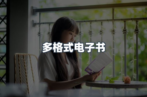 多格式电子书